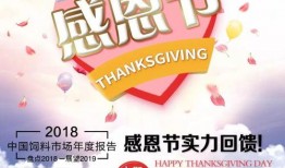 感恩节最新爆料新闻内容,揭秘背后的感人故事与温馨瞬间